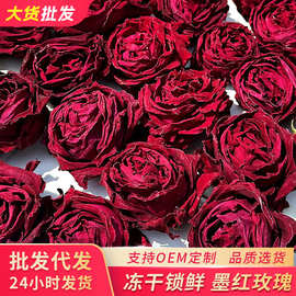 云南精选整朵头期低温冻干墨红玫瑰花茶散货统货大货批发1kg一手