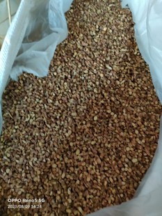 �ʲ��w��0.5cm���ң�ζ������o�s�|