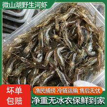 ΢ɽСrˮrwكr̖rrrr~ʳ