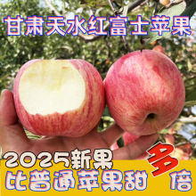 【活动】甘肃天水红富士代发9斤彩箱新鲜采摘脆甜红苹果当季水果