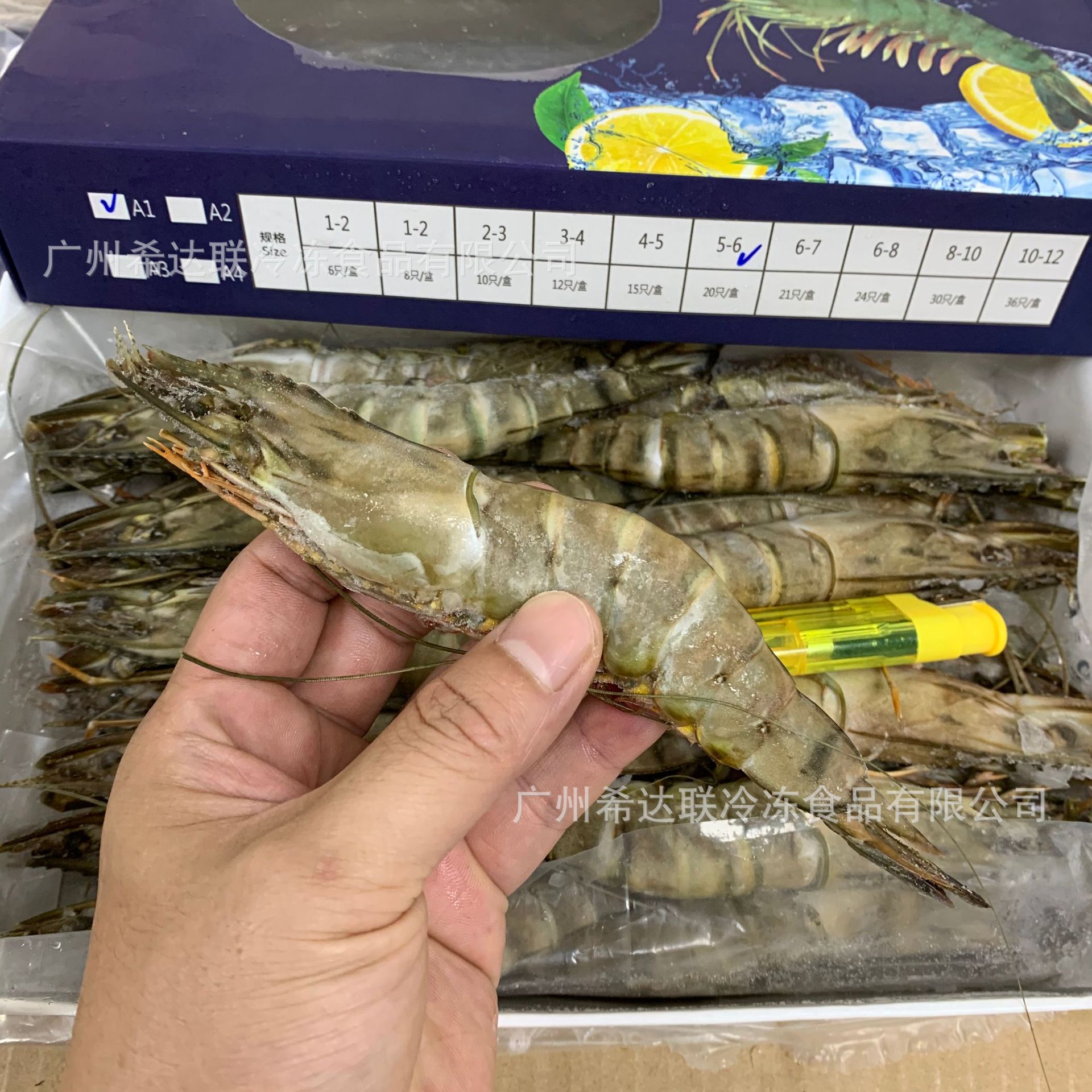 20头黑虎虾 净重1.8斤/盒 生冻虎虾 九节大虾 大海虾 原条黑虎虾