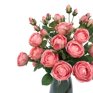 ���滨4�^�ʺ�õ���Nޱ���軨��õ��c�ҾӔzӰ�����b����յ���