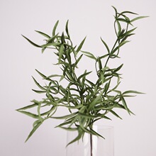 �����~�� ާ�ֲ�� �Ե���С�Gֲ�쾰 �Ҿ��b� ���g��ꐔzӰ����