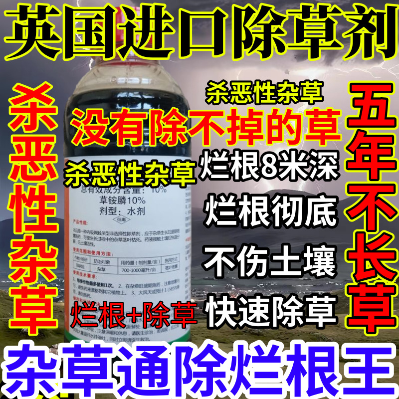 英国进口除草剂精草铵膦铵盐果园烂根小飞蓬耕地强效除草剂烂根王