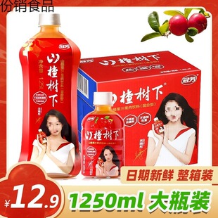 ɽ高����Ʒ��Ϲ�֭��ƿ�b1.25L���350ml*15ƿ�������b����