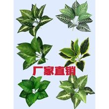 �羳����Gֲ9�^���~���~�ӵ�ˮ�^�������~�٘��~�Ҿ��b�ֲ����