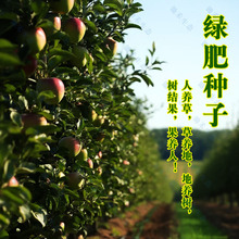 ���@�G�ʷN���ϻ����ӷN�L��ëҰ�㶹ë�����B����Դ�ݷN�G�ʷN��