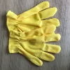 Yellow gloves