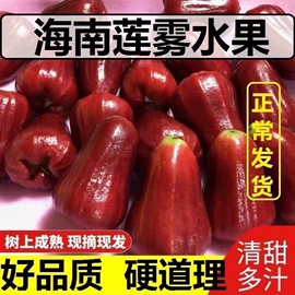 月饼;传统糕点;软糖