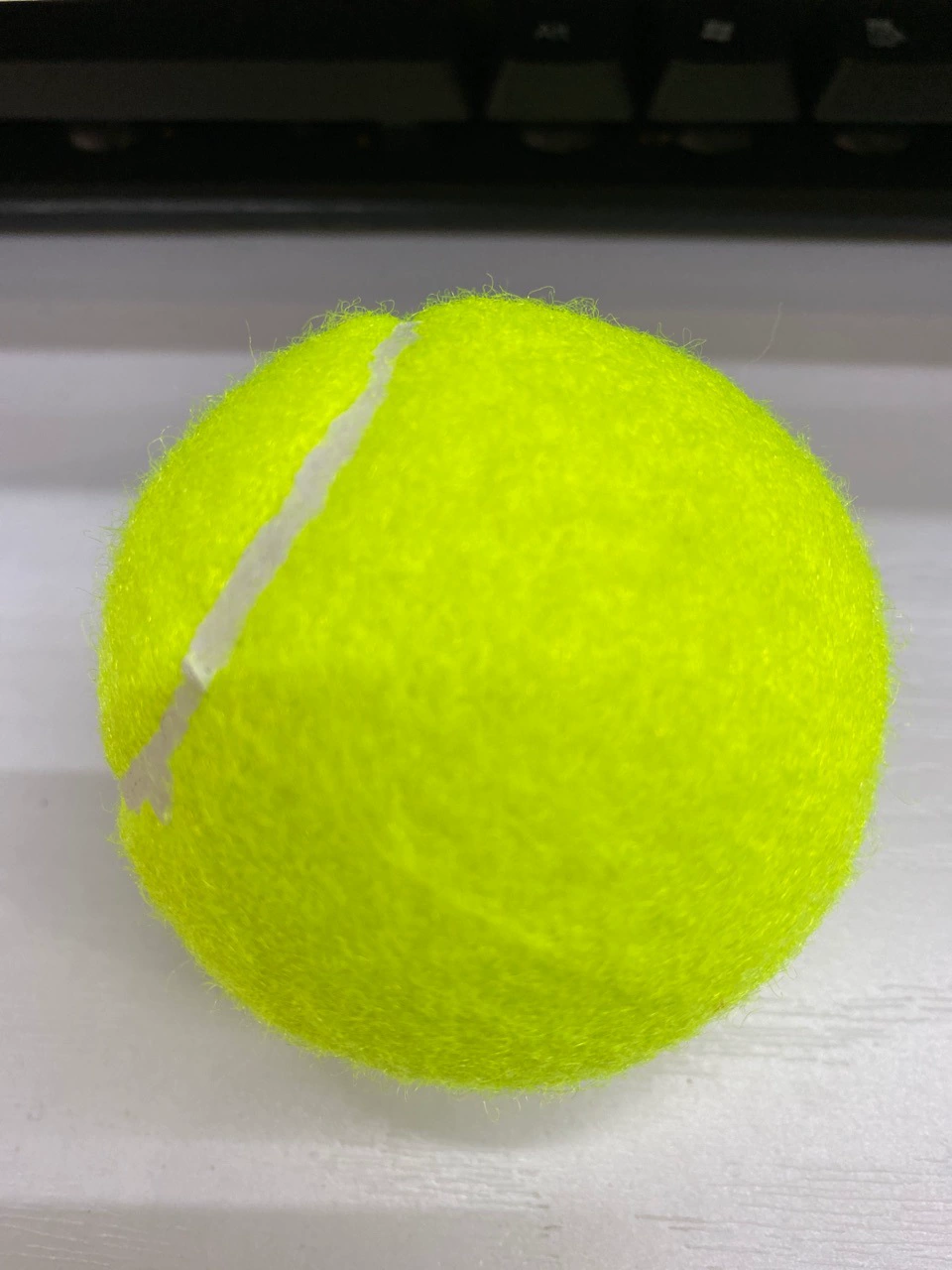 威乐普 686 Tennis Training Tennis Junior Scholar Training High Elastic Tennis