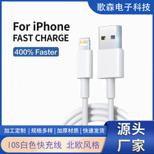 �羳 ���lIOS���ٳ��Usb��14 13 12 11 Pro Max Mini XR XS X SE