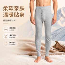 男士纯棉秋裤薄款纯棉秋冬中青年男衬裤全棉棉毛裤打底保暖裤线裤