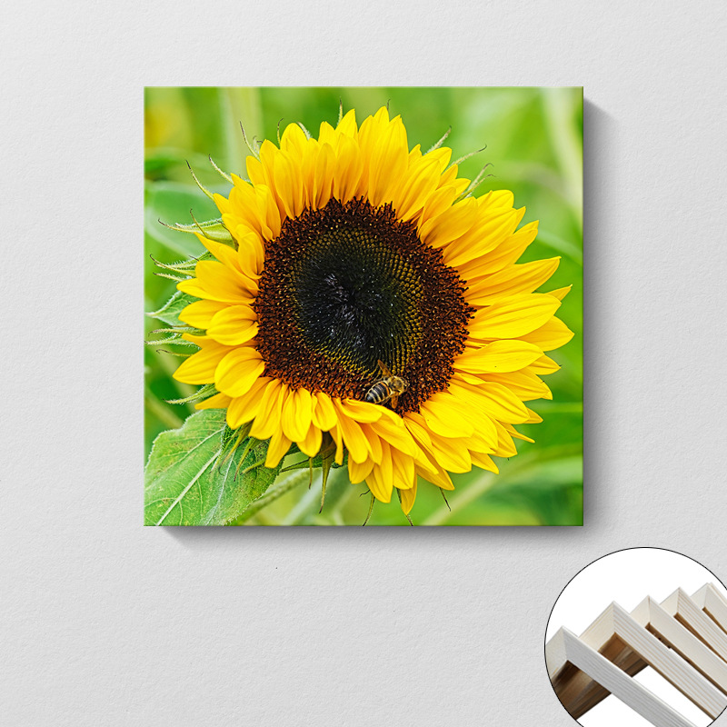 Pintura decorativa coreana girasol Sala de estar moderna y simple flores de sol colgando pintura mural del dormitorio del restaurante pintura cuadrada sin marco