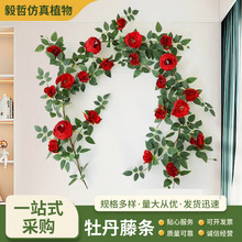 ����õ�廨�ٻ��߼��б���ڒ�Ҿ��b�Y��픻�cĵ�����ٗl