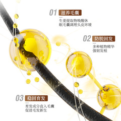 麗泉特生薑王防脫固發洗髮水500ml控油清潔去屑側柏葉洗髮露