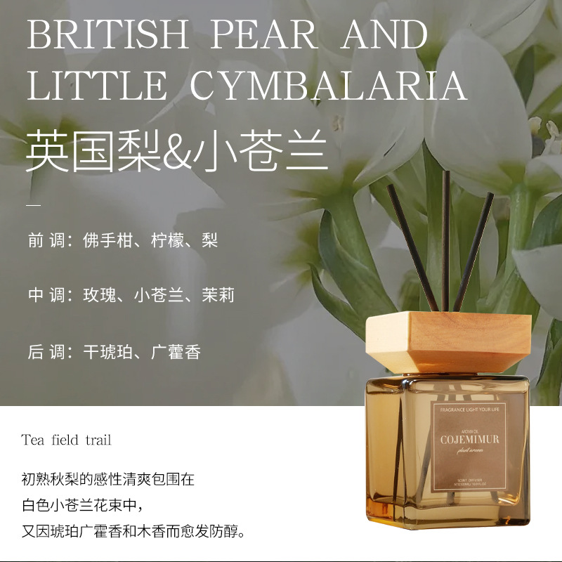 잉글리시 페어 앤 프리지아(방 전체의 향기) 핫 스타일