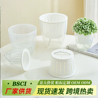 客厅桌面装饰绿植花卉吊兰树脂新款自吸水懒人透明绿萝简约小花盆