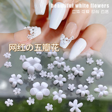 100顆網紅五瓣花小白花立體迷你日式ins樹脂白色小花朵指甲裝飾品