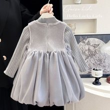 女童连衣裙加绒春夏新款儿童宝宝礼服洋气生日背心公主两件套