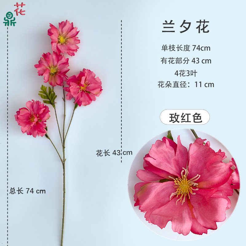 산시 꽃 장미 레드