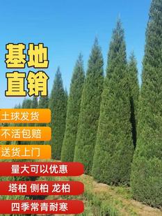 ���ؘ����ɰؘ���Ȱؘ������ؘ���ֲ�﹝���ɈA�ؾG�����ļ�����