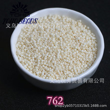���ڶ���TOHO2mm����ĥɰʵɫ���� �ֹ�diy����������Ʒ�������