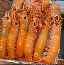 Ⅹ【食材供应】深海螯虾刺身龙虾日料虾餐饮批发零售非新西兰螯虾