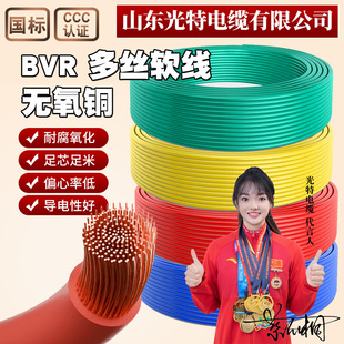 BVR���ܛо����늾��~о1.5/2.5/4/6/10/16ƽ�����b��ȼ��zܛ��