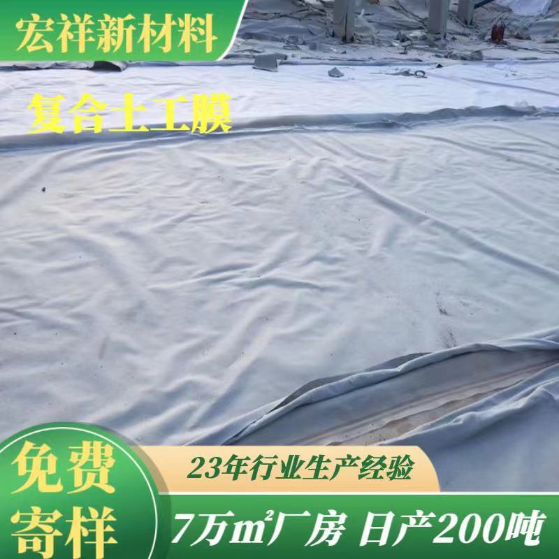 供应600g复合土工膜白色国标两布一膜PE复合防水膜厂家
