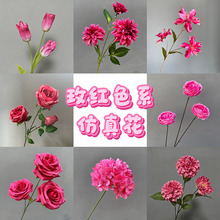 �S�����lõ�tɫ��c���滨�鷿���û�Y���b��Ż��Ƶ�·������