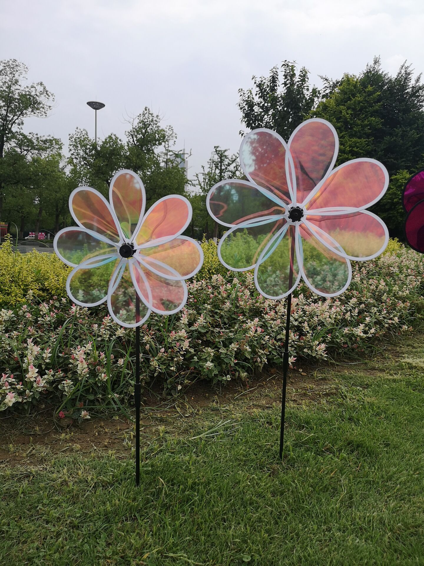 QQ图片20210730102511