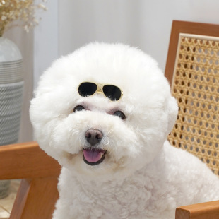 [A generation of hair] [Amazon cross-border] Pet headdress pet sunglasses hairpin dog glasses metal
