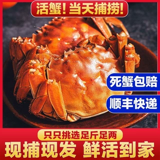 江苏大闸蟹湖蟹现捕现发鲜活螃蟹现货肥大全公母蟹冷链团购批发