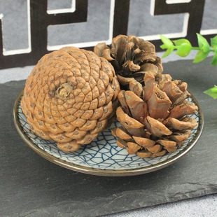 ���� 500g �ɹ� �ɘ�� �䱳ș�����l