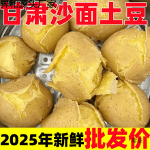 2025�F�ڶ����������Cɳ���߲��R����SƤ�S�����r�������l