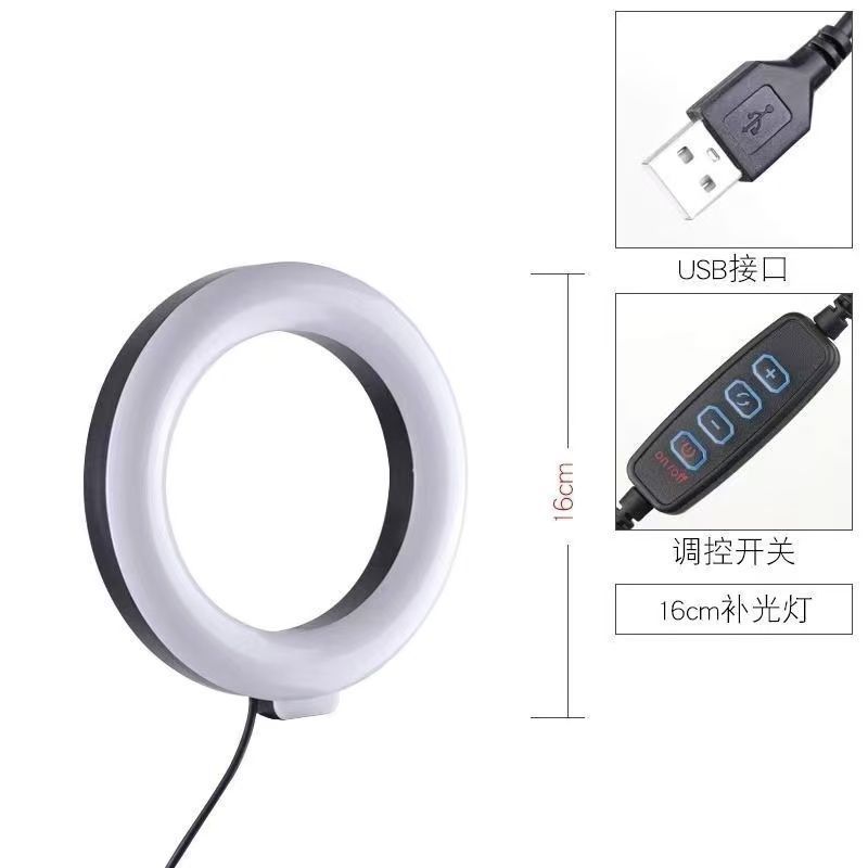 6-inch ring beauty lamp [without bracket]