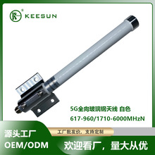 5Gȫ������쾀��ɫ617-960/1710-6000MHz/3dBi N-K 25*300mm