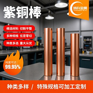 T2���~���и����۸߼��Ȍ������~�� C1100�t�~���o���������~��
