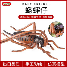 ��ͯ���挍�����x������������۷��w������Λρ�J֪����ģ��