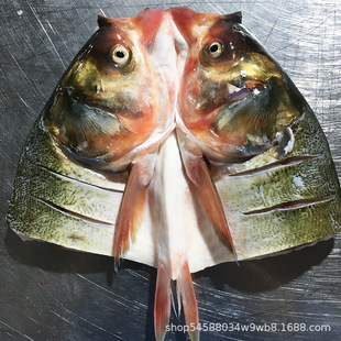 ��������罷�~�^620g��Ȼˮ�a���r���~�^���^���l�ӟ���Ʒ��