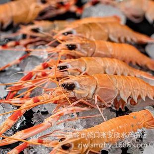 ���r���������r�r��������r�������m���r���r���ܴ��r������r