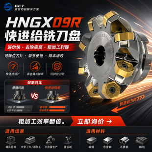 HNGX09R���M�o㊵��P���Dλ���M�o㊵��P �߽���ȥ���ʴּӹ�����