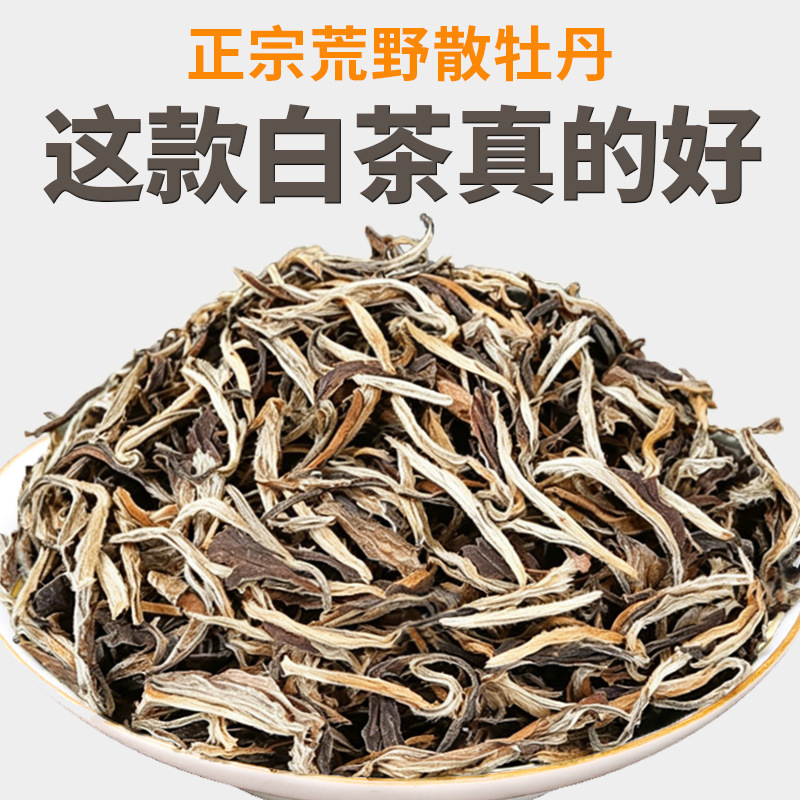 2012 Premium White Tea Collection, Special Grade Loose White Peony, Authentic Fujian Plum Fragrance Pre-Qingming Tea, Loose Leaf, Wholesale from Manufacturer