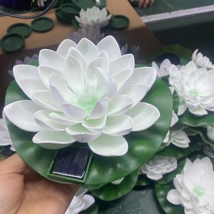 �S��ֱ�N̫���ɏ����ˮƯ������Ӿ���b���ɻ�����ˮ�غɻ���