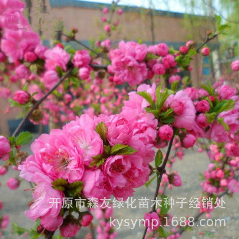 微信图片_20210507122945