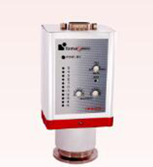 真空计 型号:CP12-CPG600 库号：M386483现货