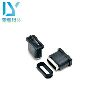 TYPE-C 6PIN��ˮĸ��/180�ȃ��_��ʽֱ��DIP ��¶1.3-2.0/H=10.0