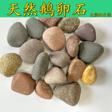 ��Ȼ�Z��ʯʯ�^�·ʯ�ӈ@ˇ����ʯ�~���껨ʯ�Zůʯ䁵�9�����l