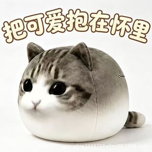 ����С؈�޻�����ë�q���؈�䱧��WeddingPlushCat