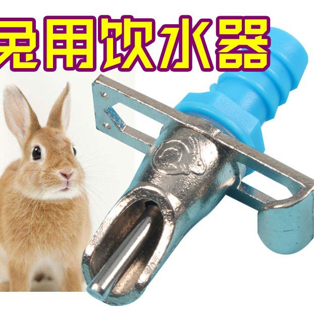 兔用饮水器獭兔野兔肉兔养殖兔笼双拉簧兔鸭嘴乳头饮水嘴喝水